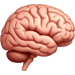 Brain Icon