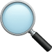 Inspection Icon