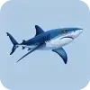 Category Icon