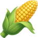 Category Icon