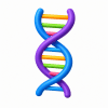 Category Icon
