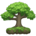 Category Icon