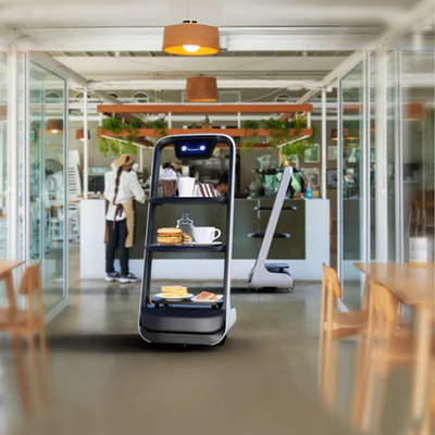 professional service robots