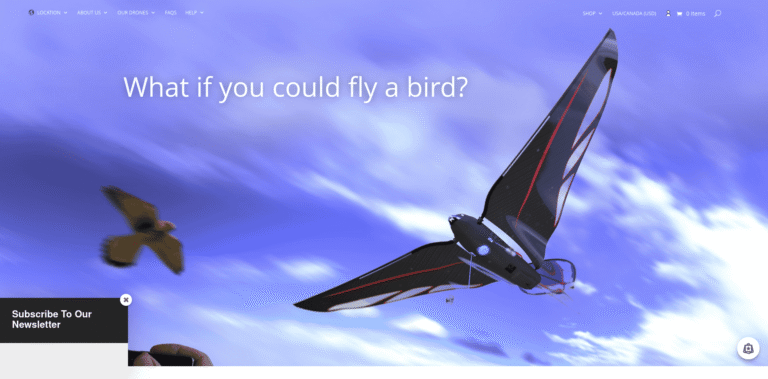 272 Bionic bird Biomimetic drones wwwbionicbirdcom min 768x379