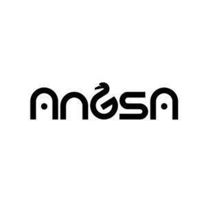 Angsa Robotics futureTEKnow