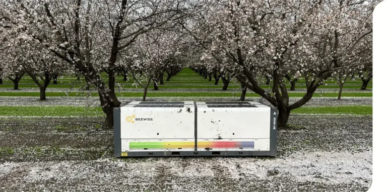 BH IN ALMOND 1 min 768x382