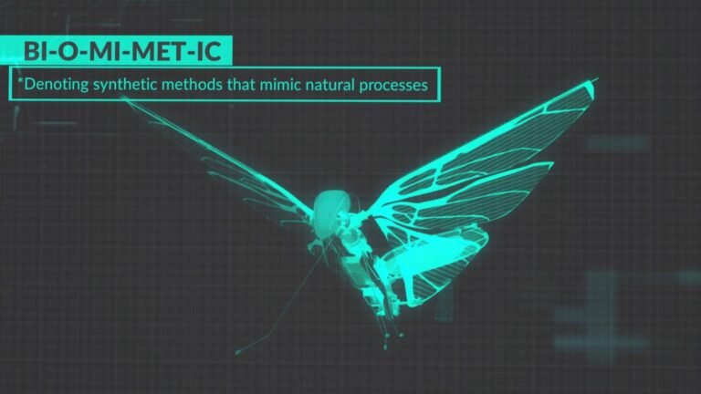 Biomimetic HD min 768x432