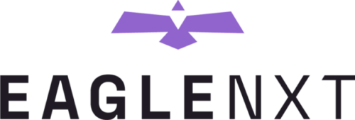 EagleNXT Logo Primary Color 620x209 1 500x169