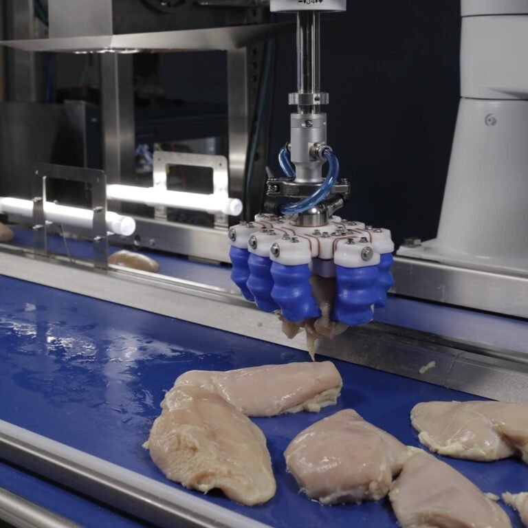 Pick and Place Robotics Singulation min 768x768