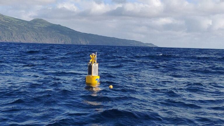 bouy web min 768x432