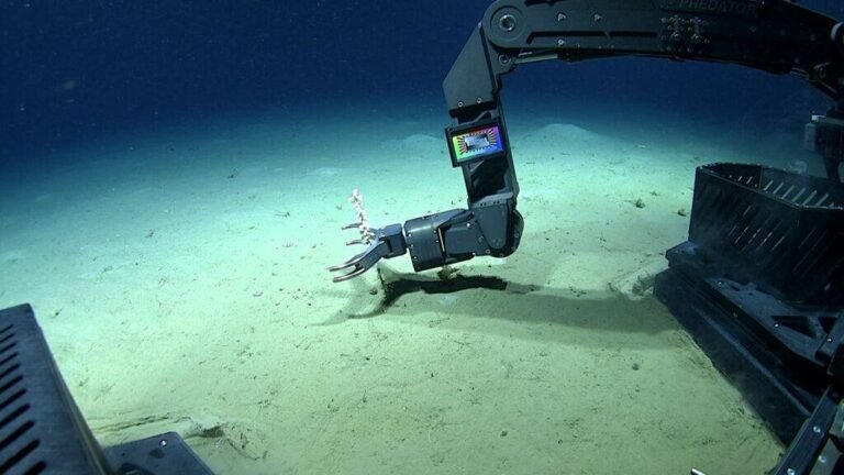 ex2301 dive03 collecting sample hires 1024x576 min 768x432