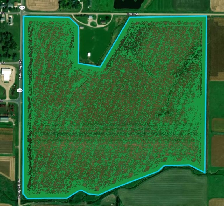 field 1 min 768x706