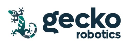 gecko 500x180