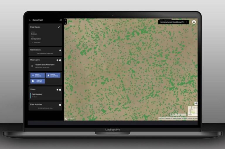 insights laptop 1 min 768x507