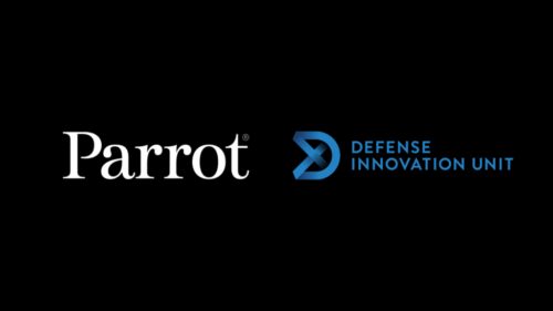 parrot blog diu 1 1024x576 1 500x281