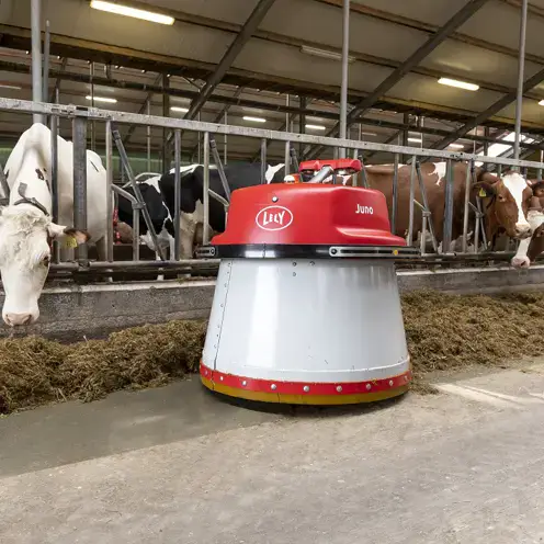 product image juno lely barn 2 min