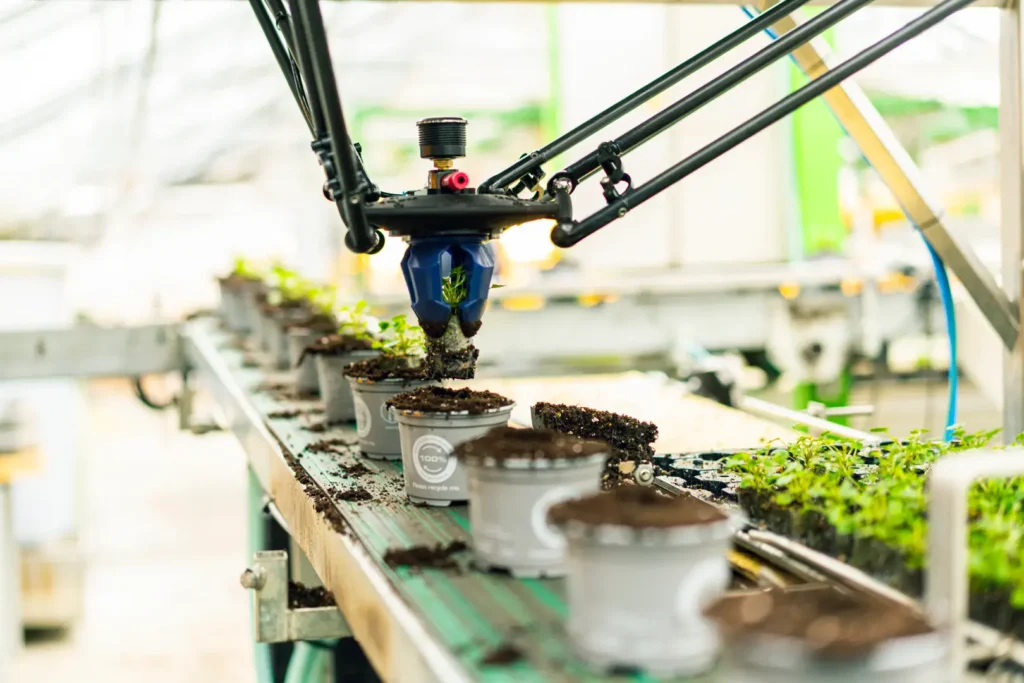 - RobotsInc.com Automated transplanting machine places soil and seedlings into small pots on a conveyor in a greenhouse.