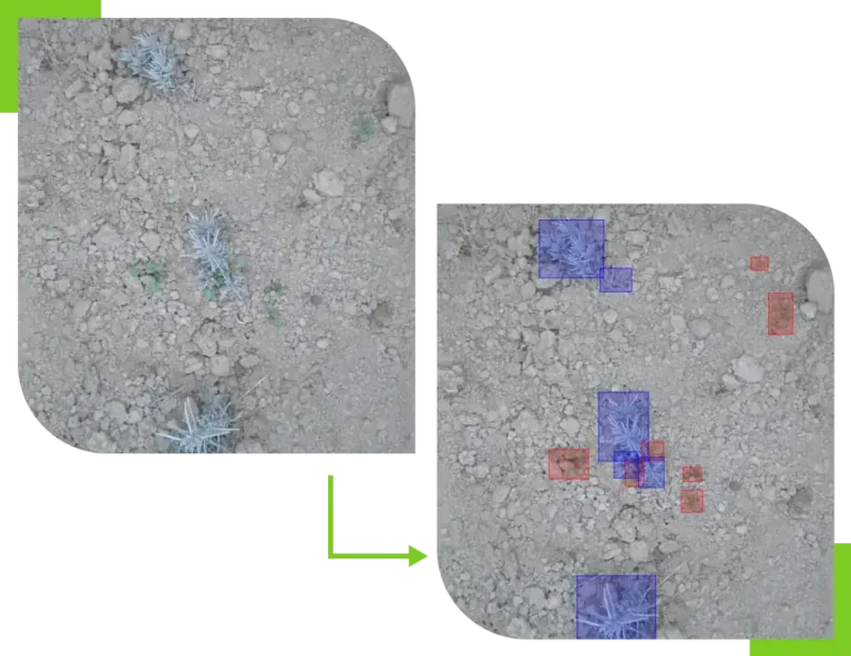 AI driven and fully autonomous min 768x592