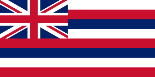 Flag of Hawaiisvg 500x250