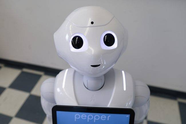 Pepper 900x600 650x433 1 min