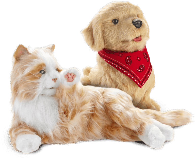 Product companion pets min 768x624