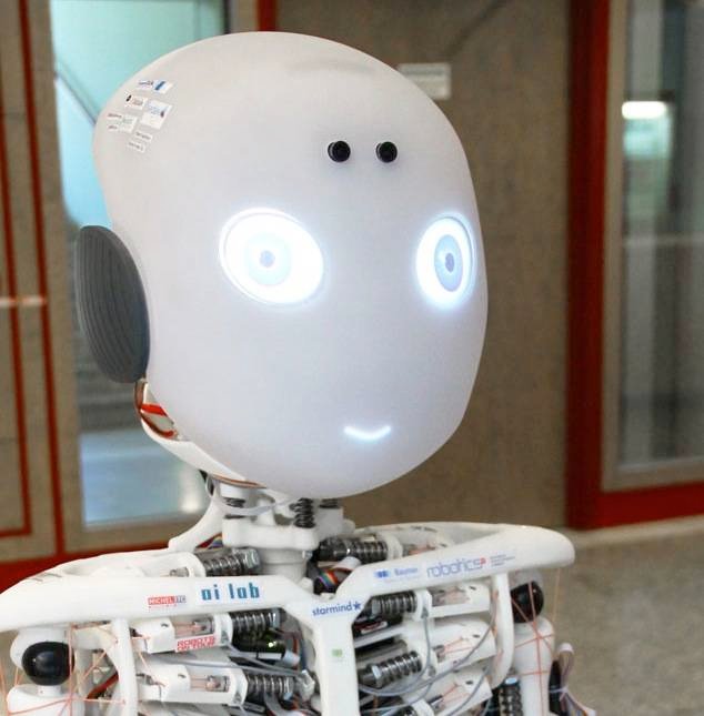 Robohuborg Roboy head min