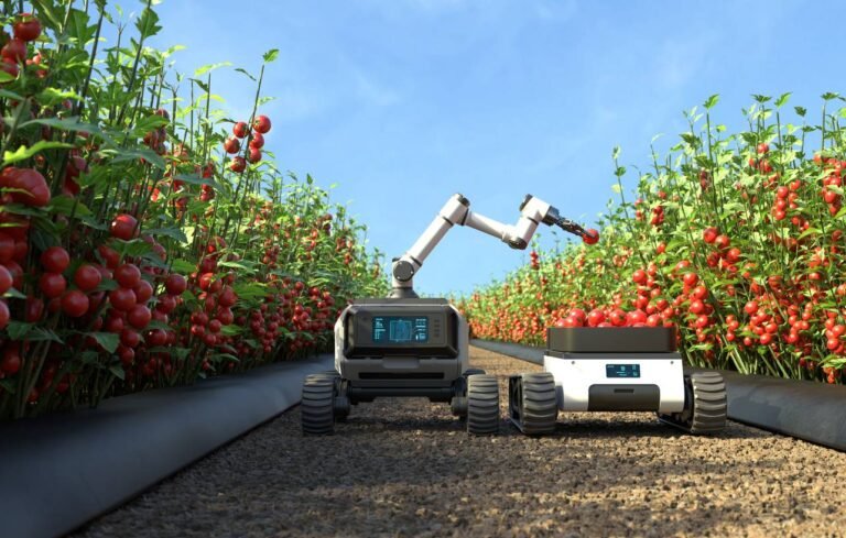 application robotics tomato picking 1739883170 min 768x489