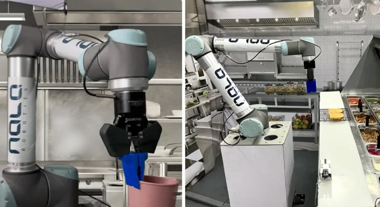 bowl bot and sandwich bot min 768x419