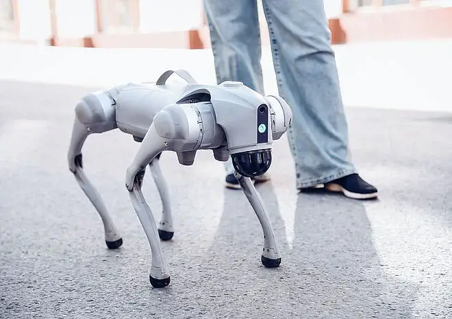 csm brushless flat motor humanoid robotics market specific robot dog d93b836116 min
