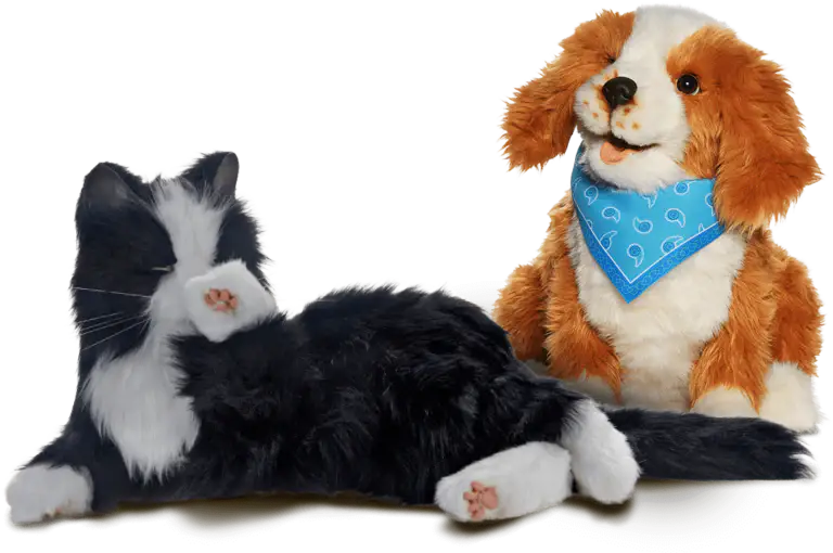 Pets 1 768x510 min