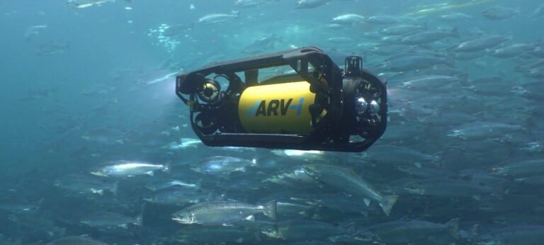 arv i aquaculture resident auv e1687427307558 1600x720 min 768x346