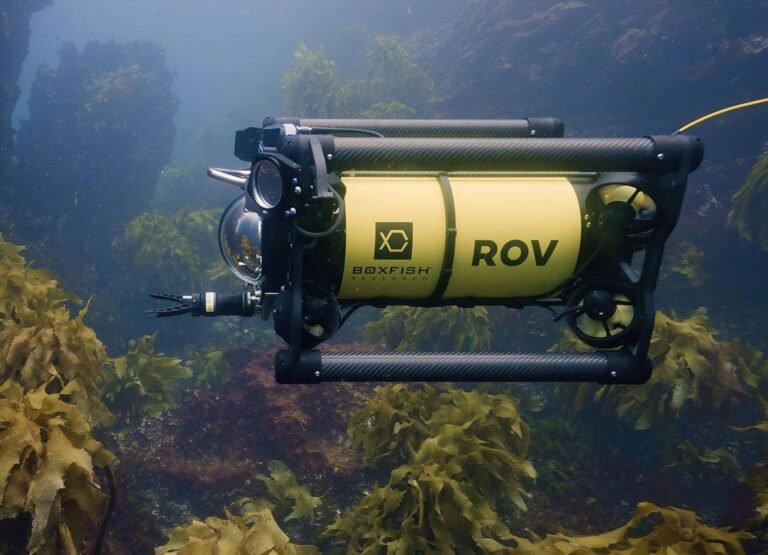 boxfish rov choose the best rov e1712896036494 1600x1156 min 768x555