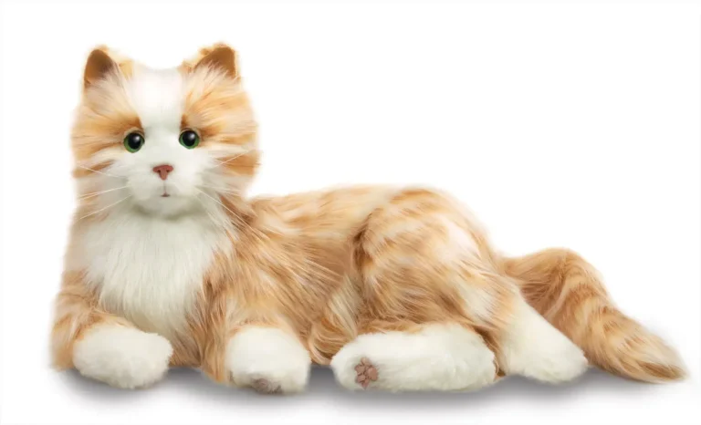 orange tabby 1800x1800 min 768x466