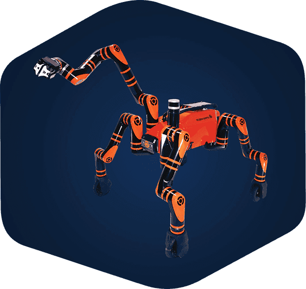 robomantis functionality min