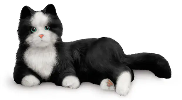 tuxedo cat 03 cob R1 1800x1800 1800x1800 607b1648 1269 4b47 b18c d86fabe55c1a 620x min